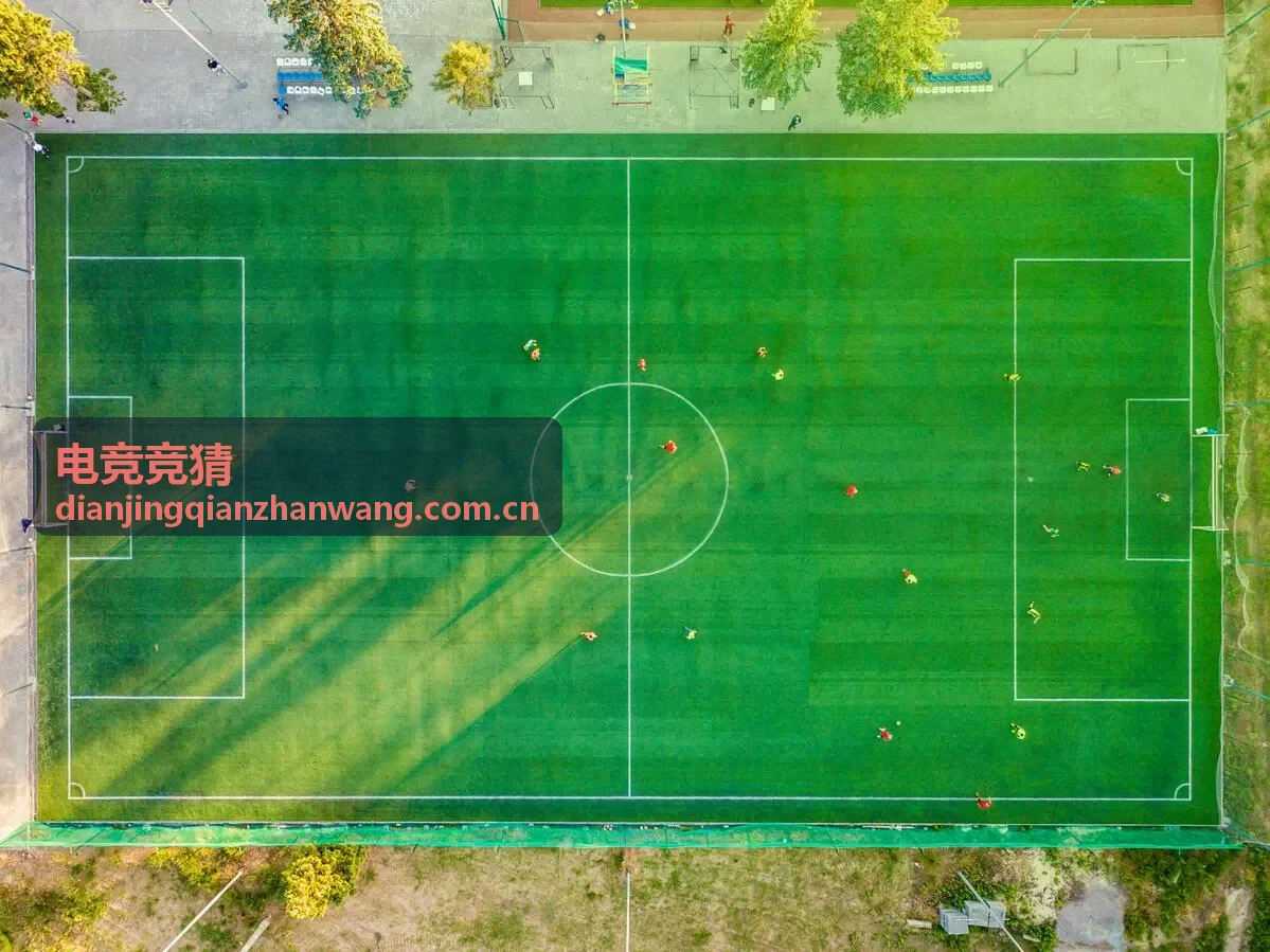 青年电竞消费调查与电竞竞猜数据透明度关注